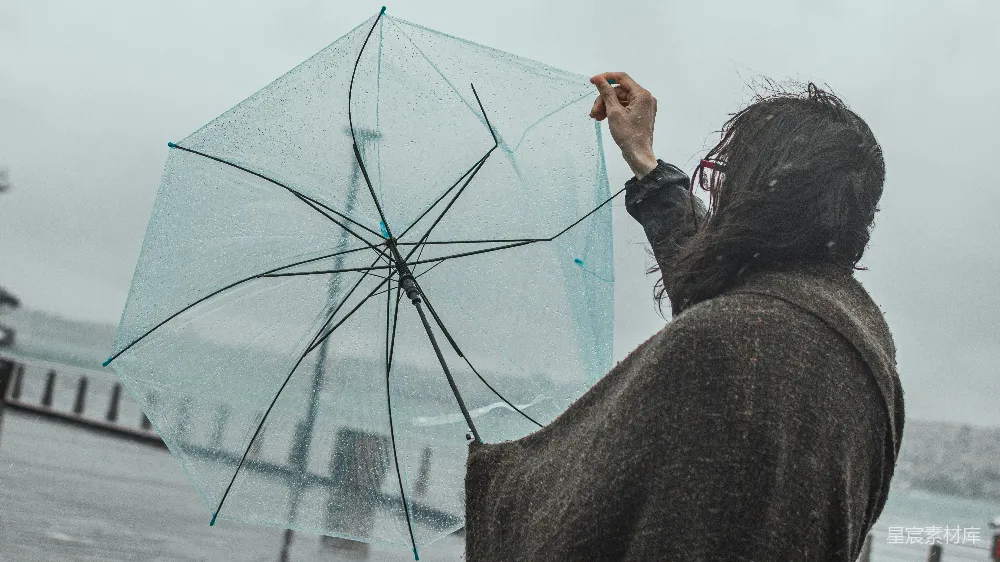 高清摄影 黑色夹克的女人拿着雨伞