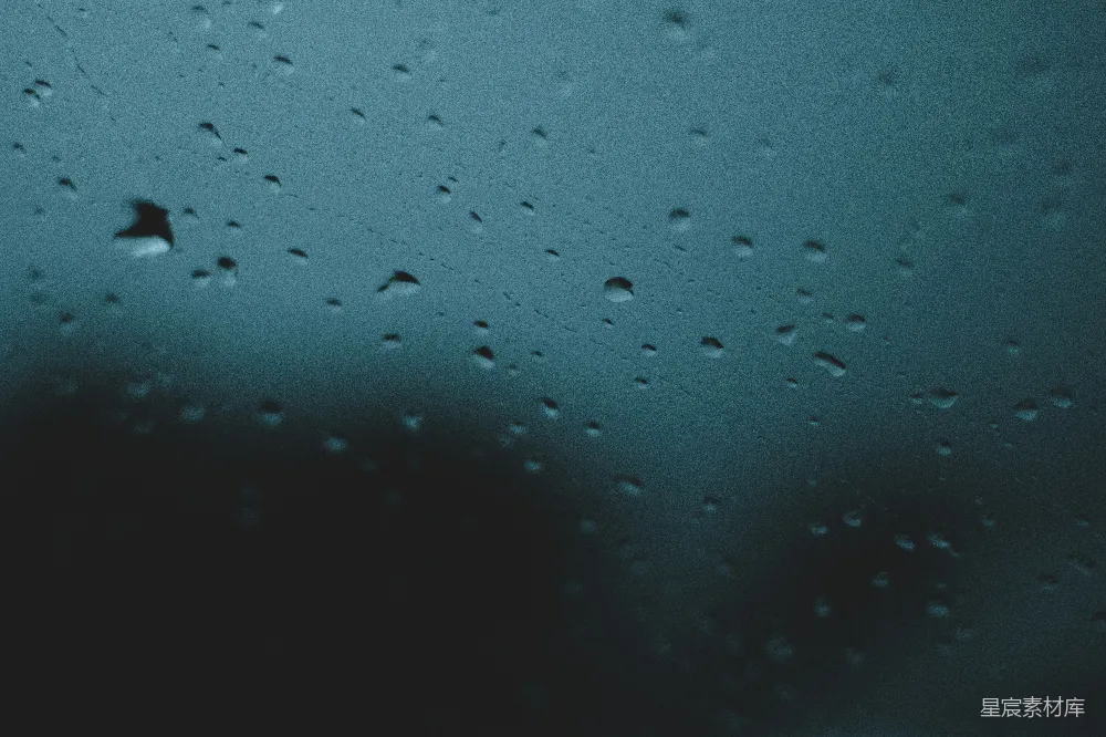 高清摄影 水汽凝结的特写照片
