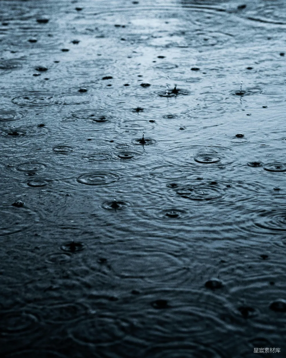 高清摄影 雨滴落在一个潮湿的表面上