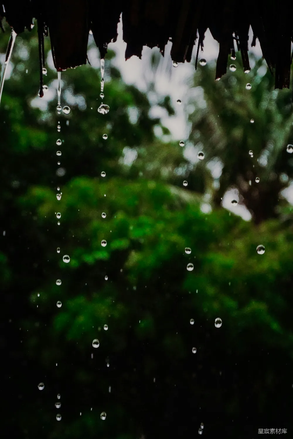 高清摄影 雨正从一幢房子的屋顶倾泻下来。