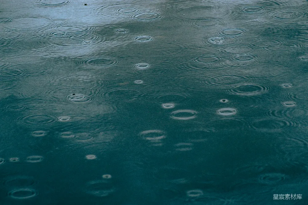 高清摄影 雨滴在水面形成涟漪。