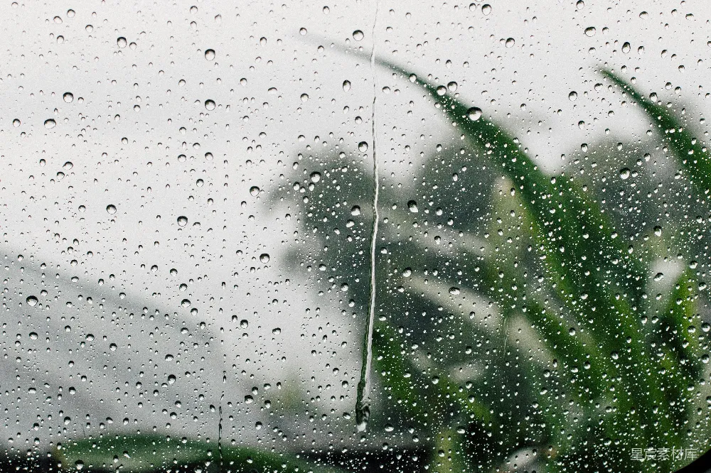 高清摄影 玻璃上雨滴的浅景深摄影