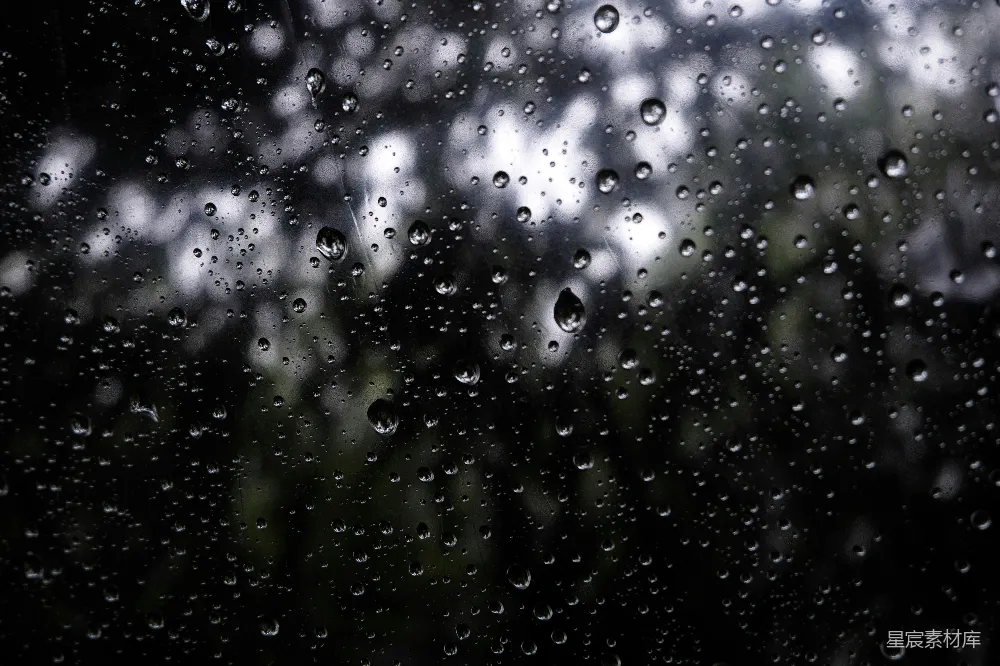 高清摄影 窗外树木下的雨滴