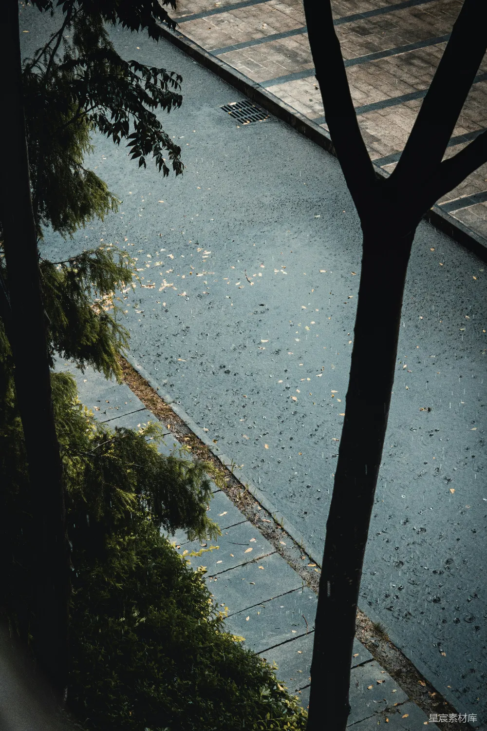高清摄影 一个人走在一条街道旁边的一棵树下