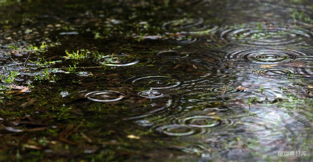 高清摄影 地面上雨滴的特写