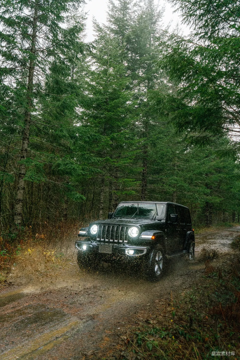高清摄影 白天森林中的黑色jeep wrangler