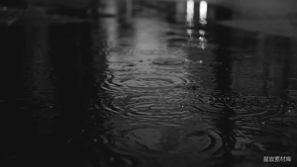 高清摄影 波纹扩散的水面