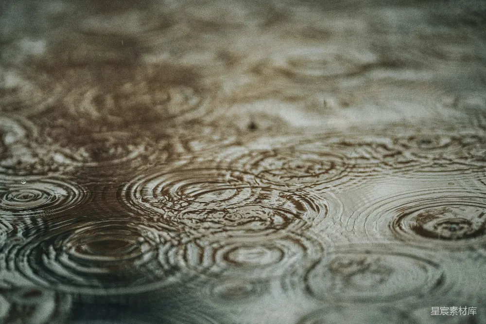高清摄影 雨滴在水面激起涟漪。