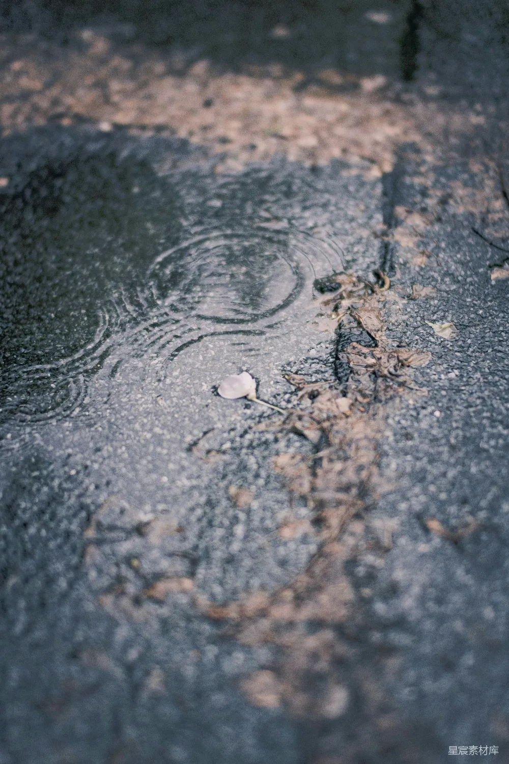 高清摄影 棕色和黑色的混凝土地板
