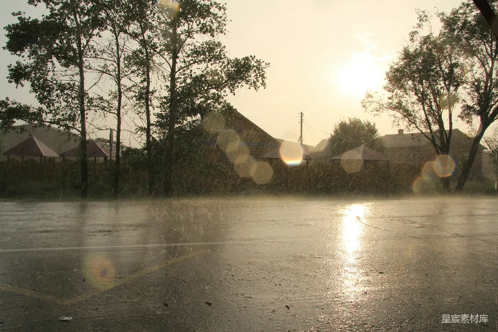 高清摄影 雨天阳光透过树梢照射过来