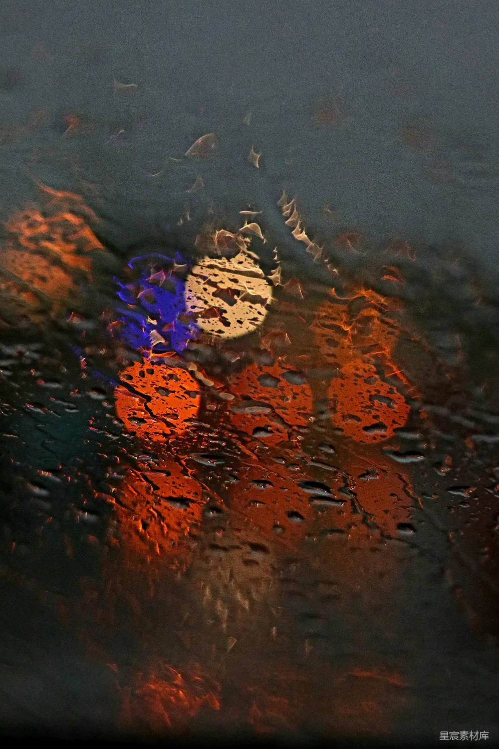 高清摄影 水中的海星