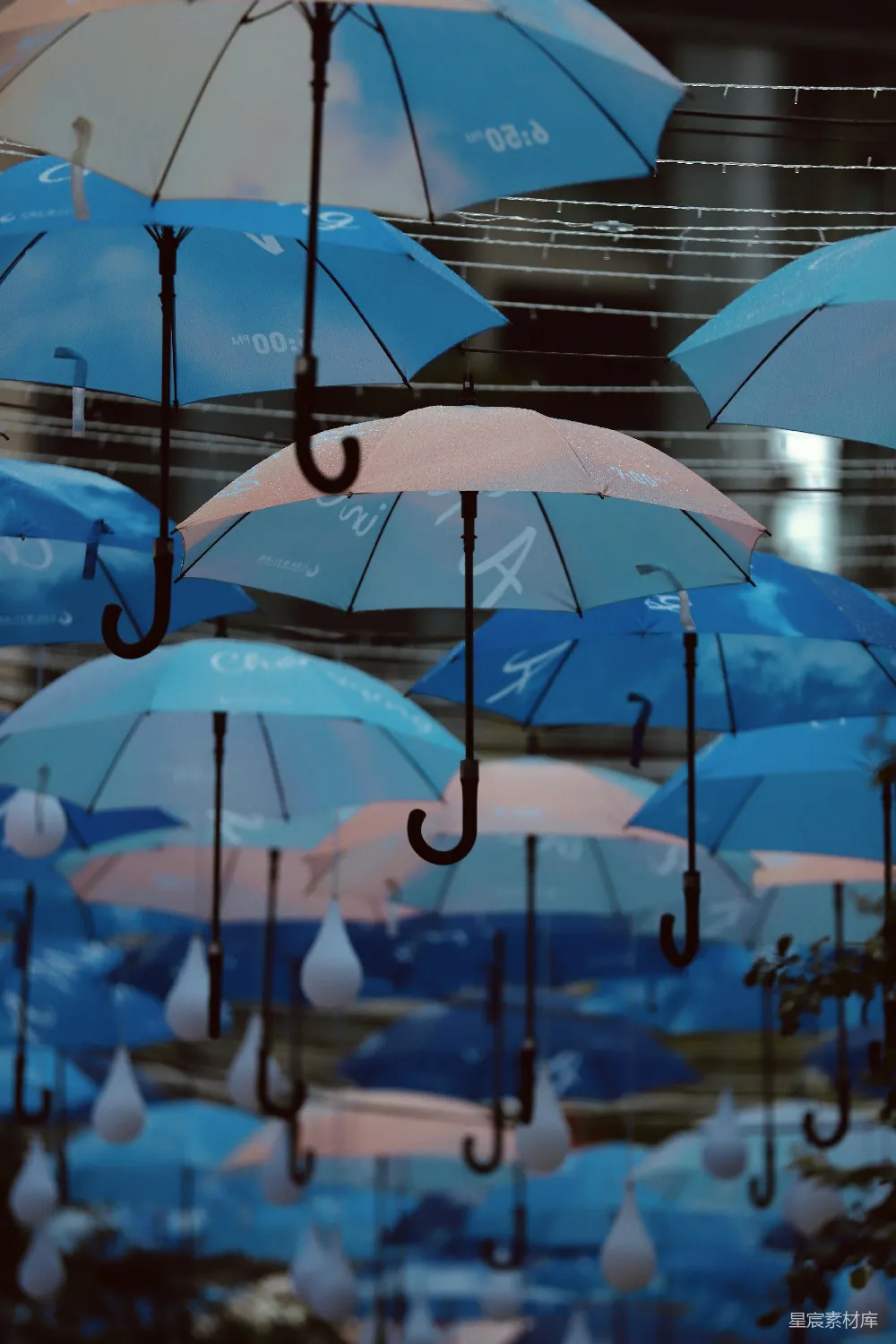 高清摄影 天花板上悬挂着一排蓝色和粉色的雨伞
