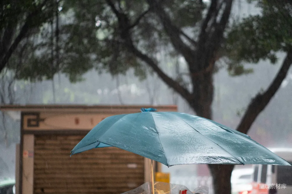 高清摄影 树前一把蓝色雨伞
