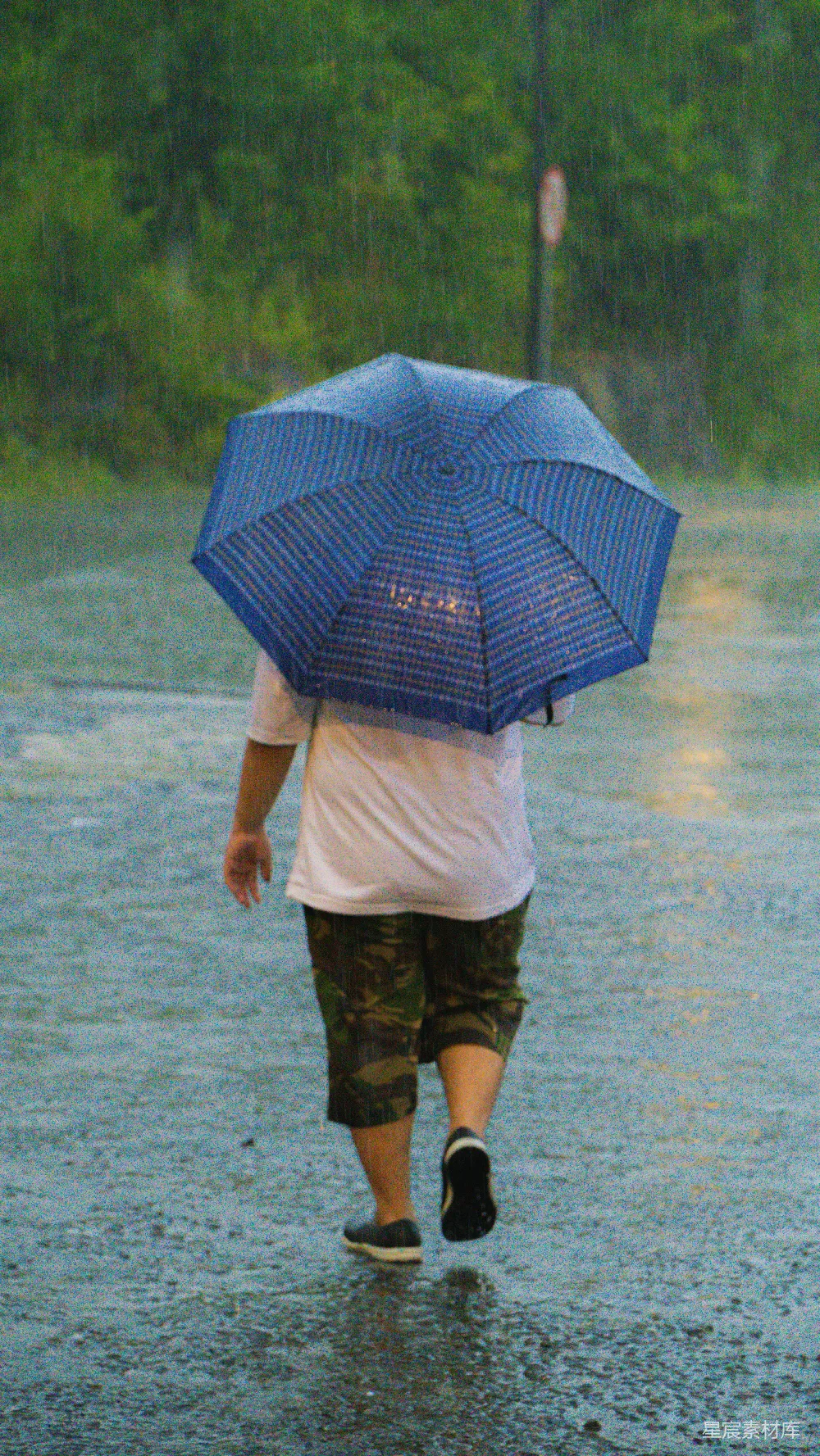 高清摄影 行人打着伞在雨中行走