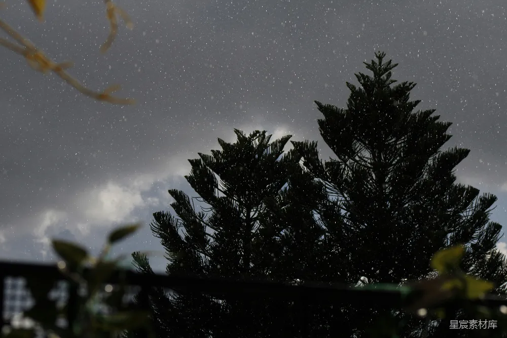 高清摄影 透过栅栏看雨中的一棵树