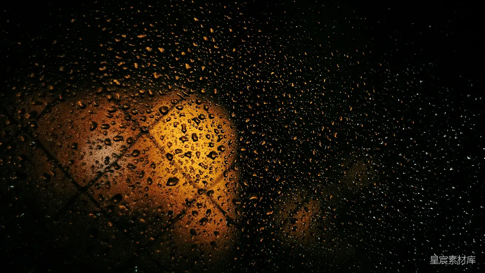 高清摄影 雨夜中的街灯