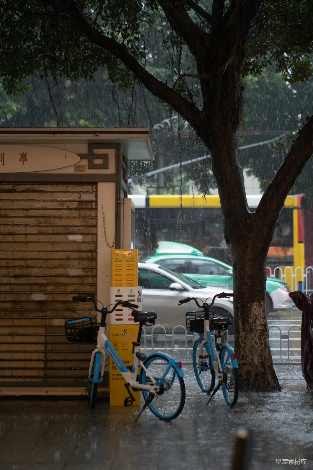 高清摄影 几辆自行车停在树旁和一栋建筑旁边