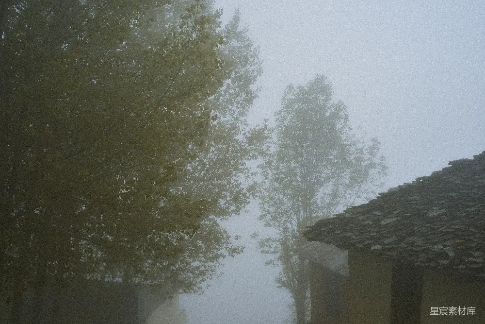 高清摄影 街边有 houses 和 trees 在背景中，雾气缭绕。
