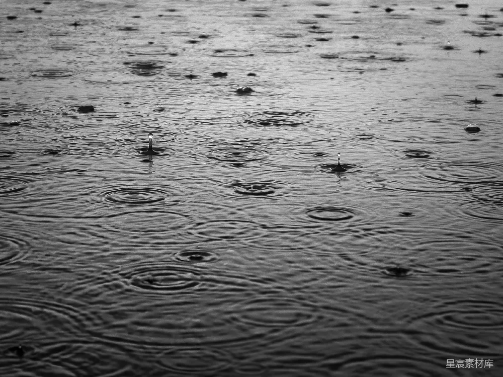 高清摄影 黑白照片上的雨滴