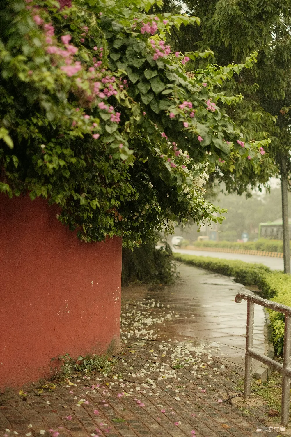 高清摄影 一个女人坐在雨中的一条长椅上。