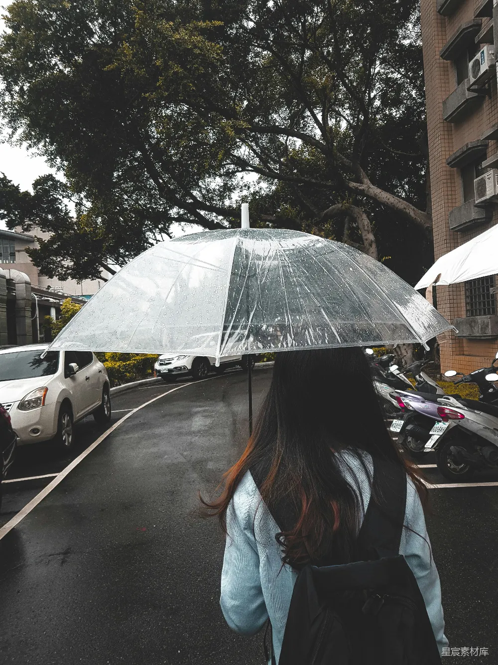 高清摄影 蓝色夹克的女子手持雨伞在街上行走，白天时段