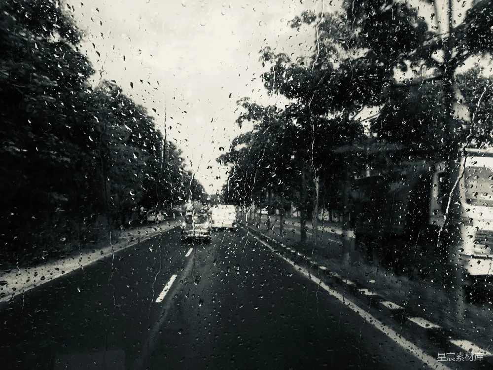 高清摄影 路上有车，两旁是树木