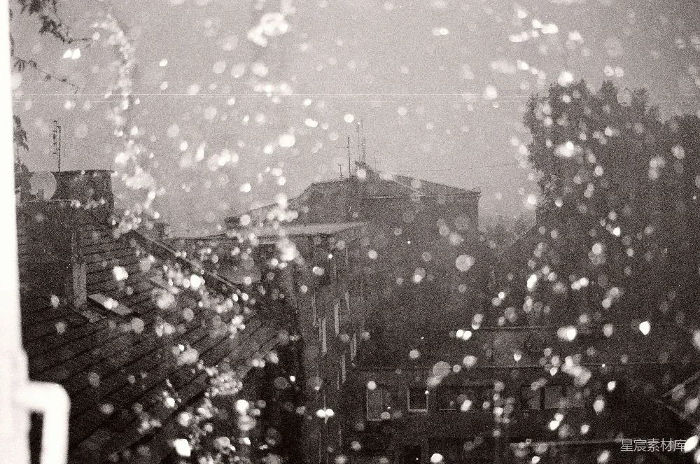 高清摄影 玻璃上雨滴的灰度图