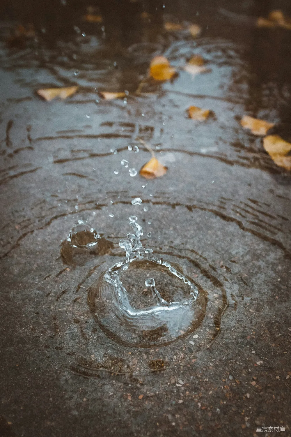 高清摄影 水面上近景摄影的波纹