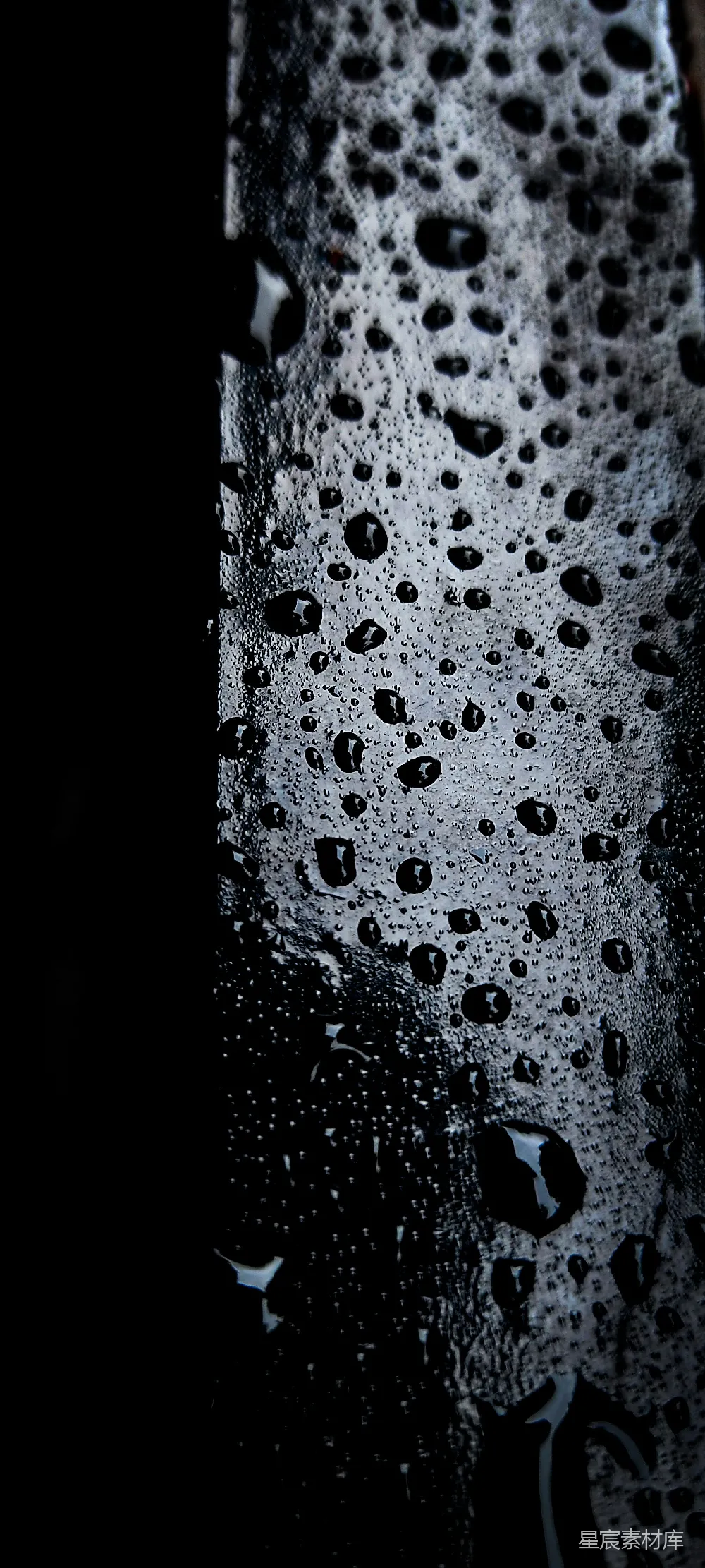 高清摄影 黑白照片中的雨滴