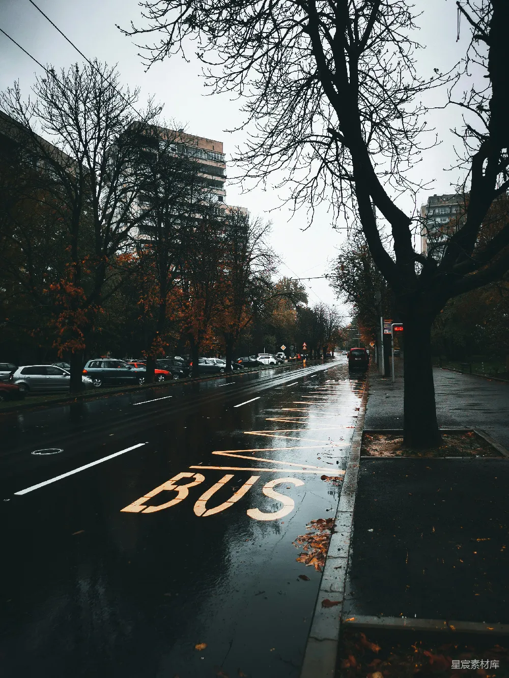 高清摄影 雨天里的公交站牌