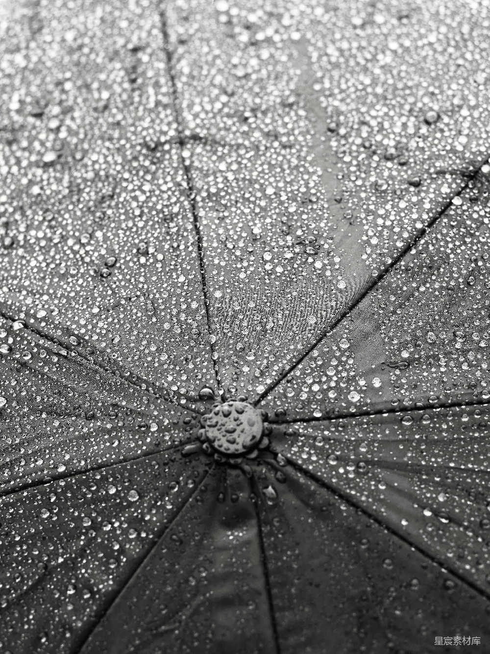 高清摄影 黑色雨伞上水珠的特写