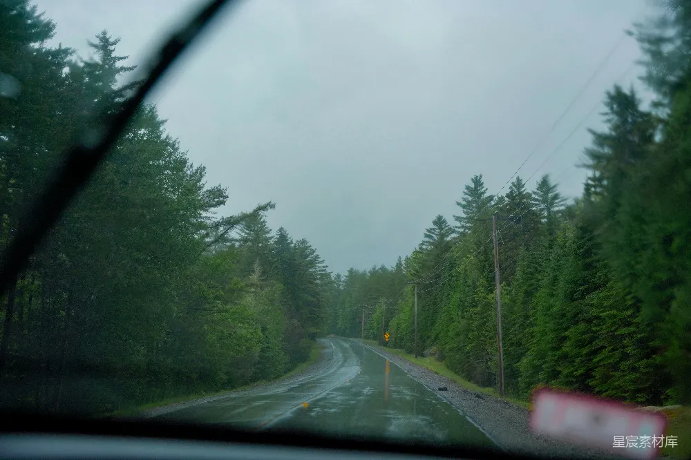 高清摄影 在森林中驾驶湿滑的道路