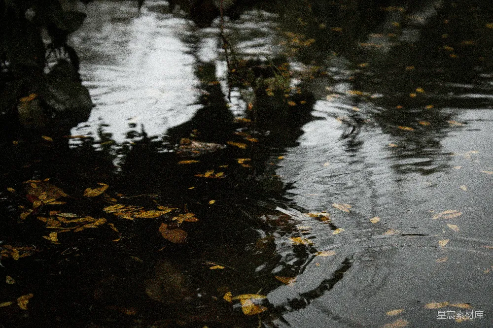 高清摄影 地面上一洼积水，落叶纷飞。