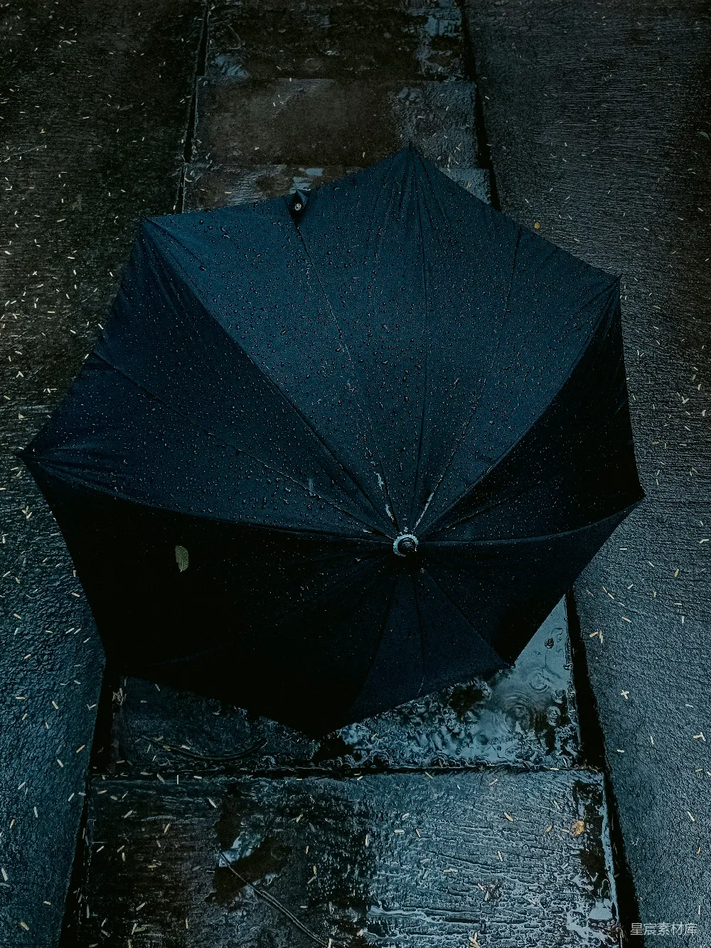 高清摄影 黑色雨伞放在一条湿漉漉的人行道上