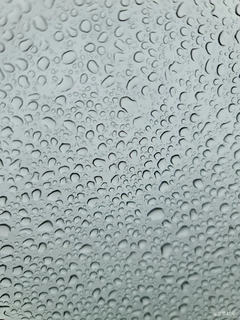高清摄影 一幅雨水覆盖的窗户特写