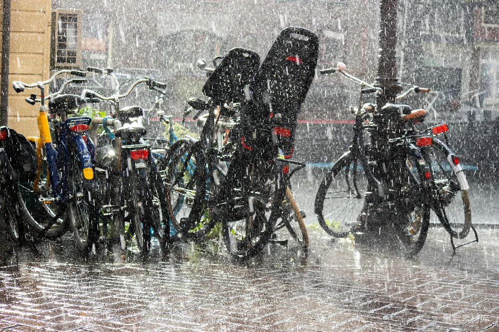高清摄影 一排自行车挤在一起，在雨中停放着。