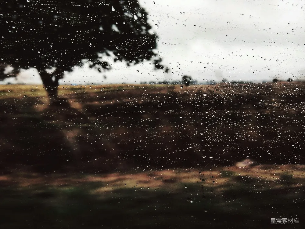 高清摄影 透过蒙上雨水的窗玻璃望向一片田野的景象