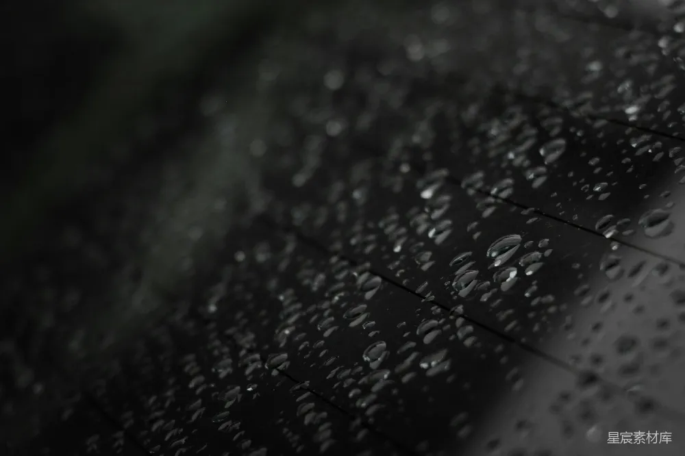 高清摄影 黑白照片中的雨滴