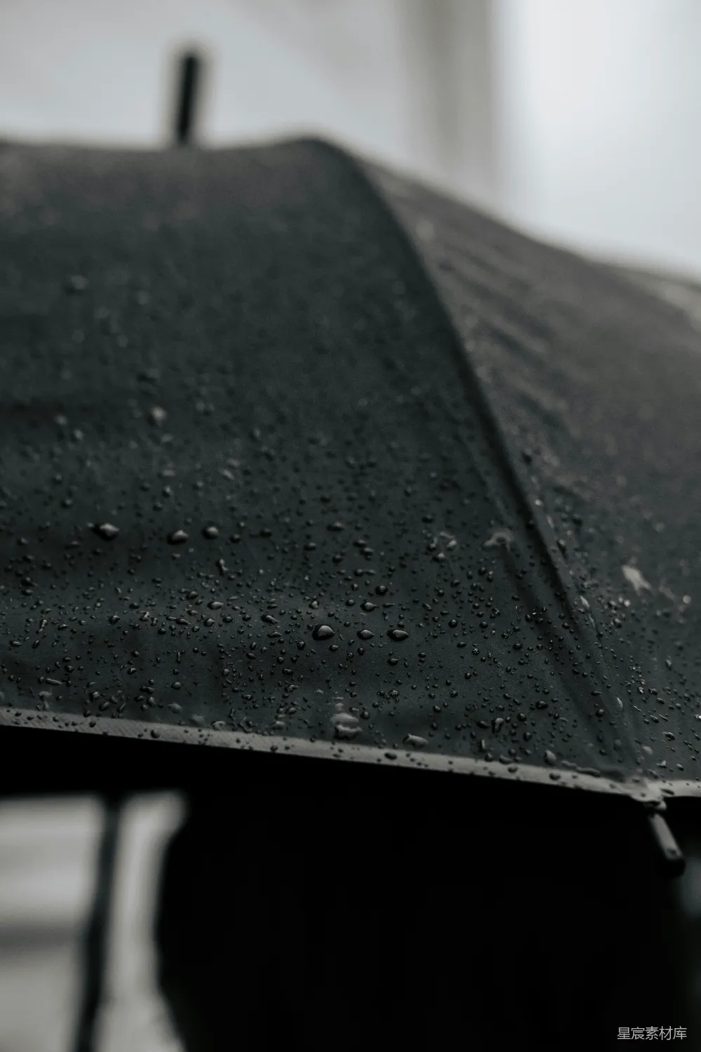 高清摄影 一张黑白照片中一个人手持雨伞
