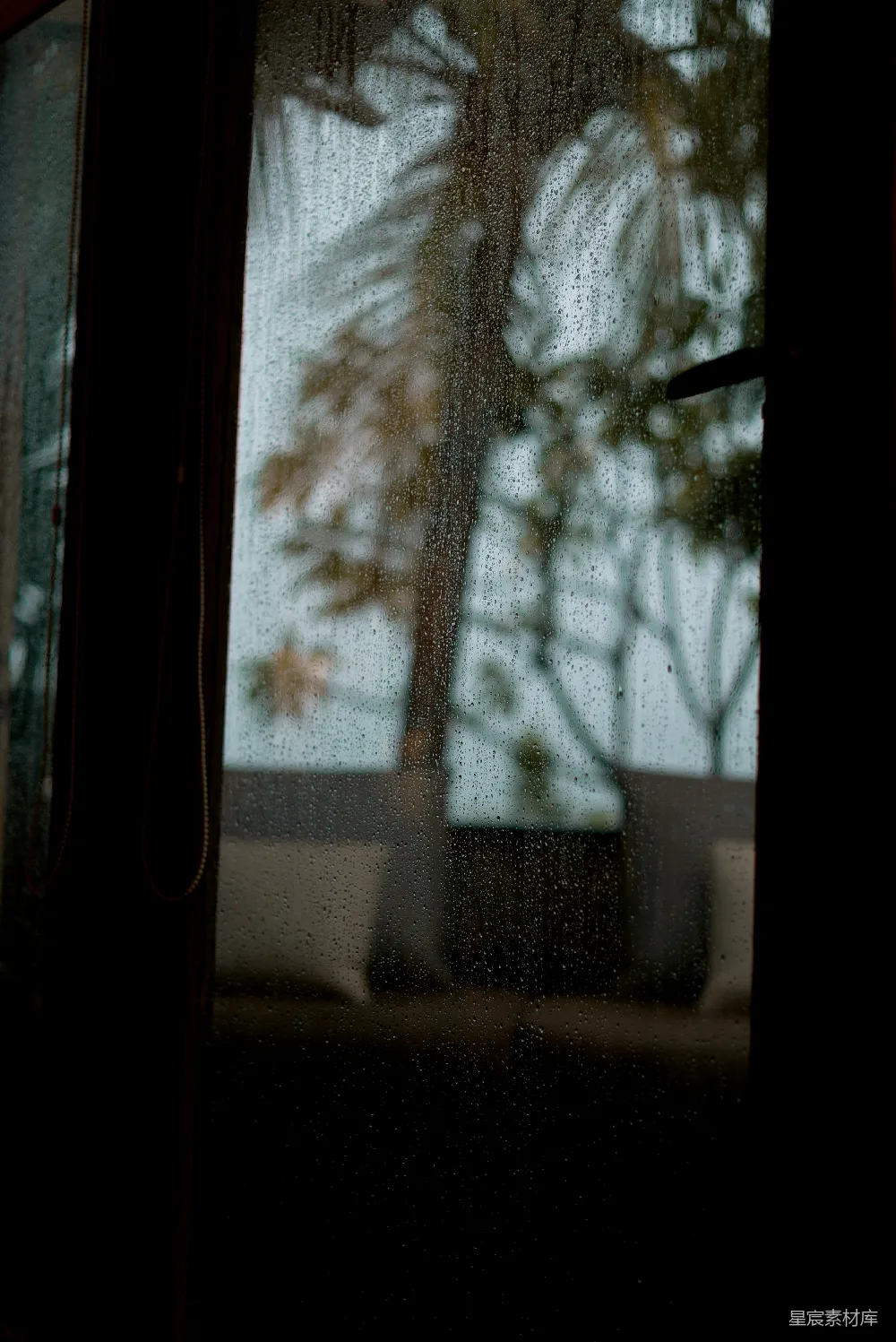 高清摄影 绿色棕榈树窗外景色