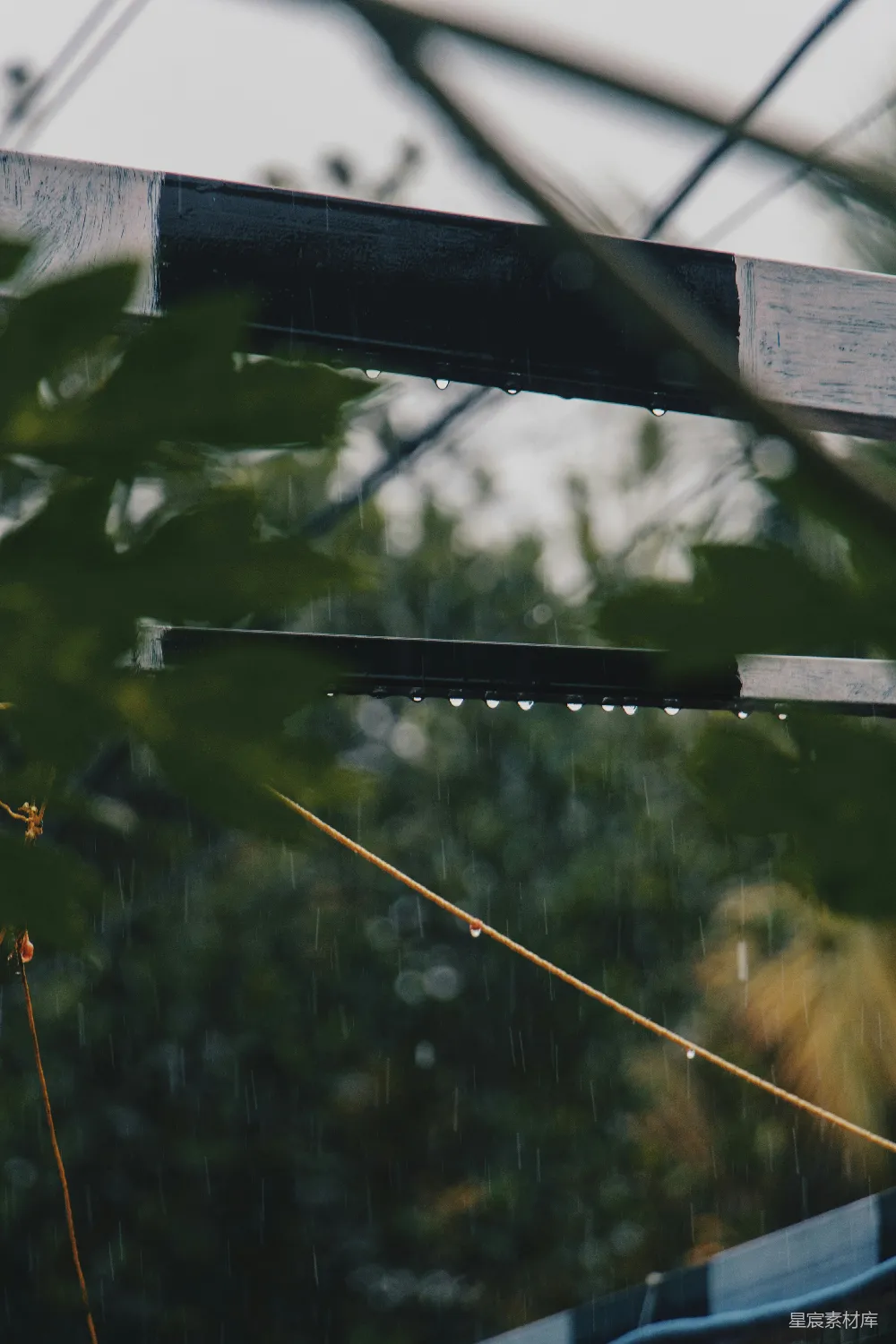 高清摄影 背景中有树木的一条近景雨沟