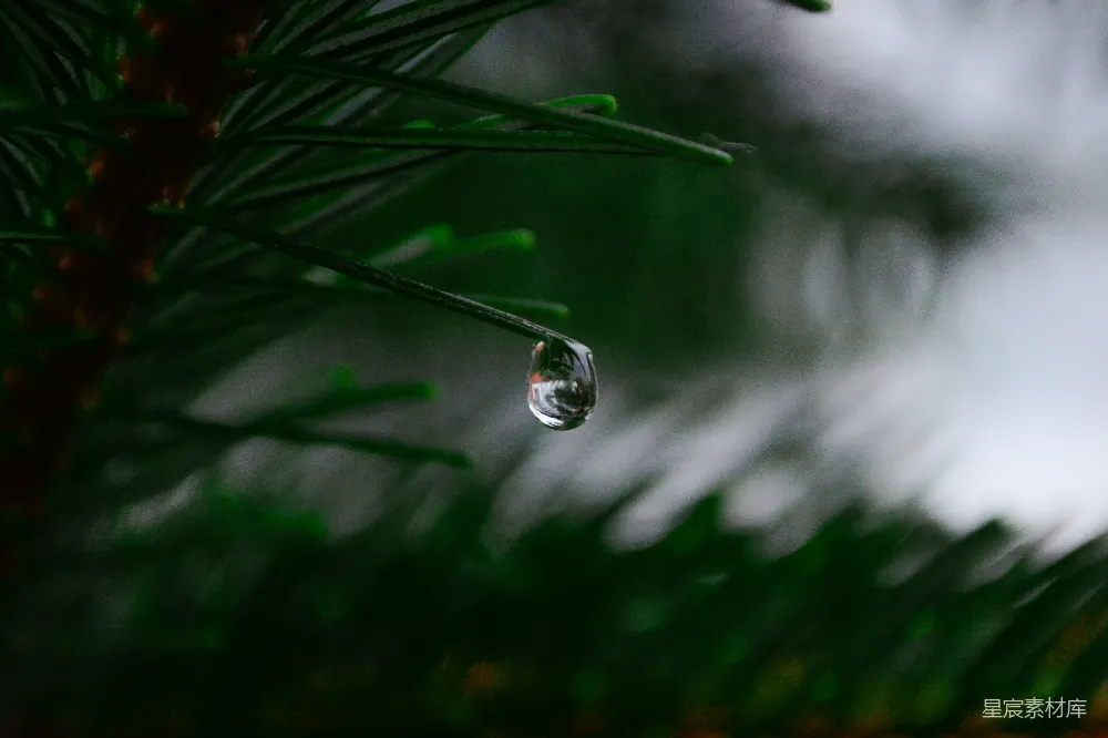 高清摄影 水滴的微距摄影