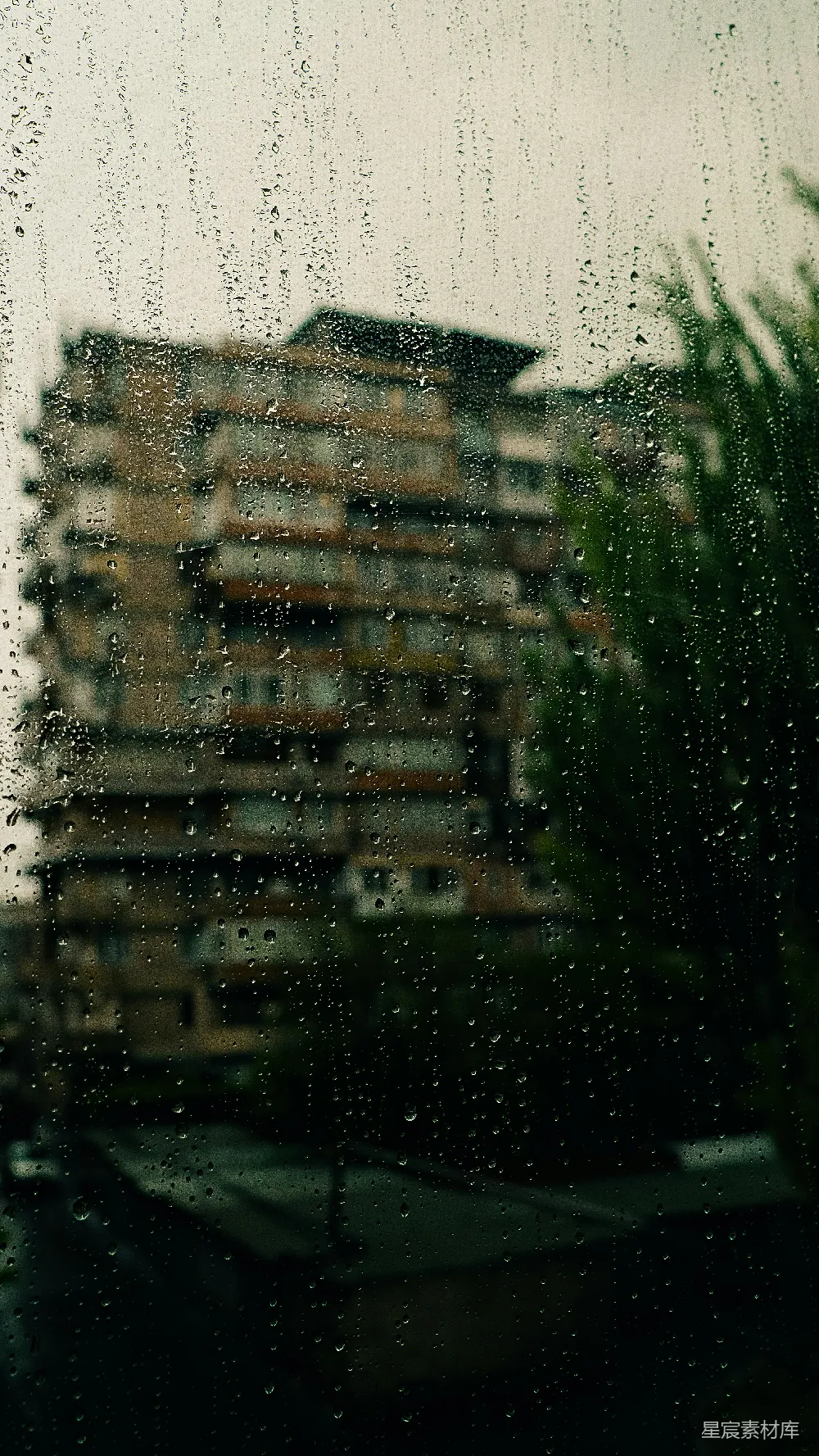 高清摄影 蒙上雨的窗户