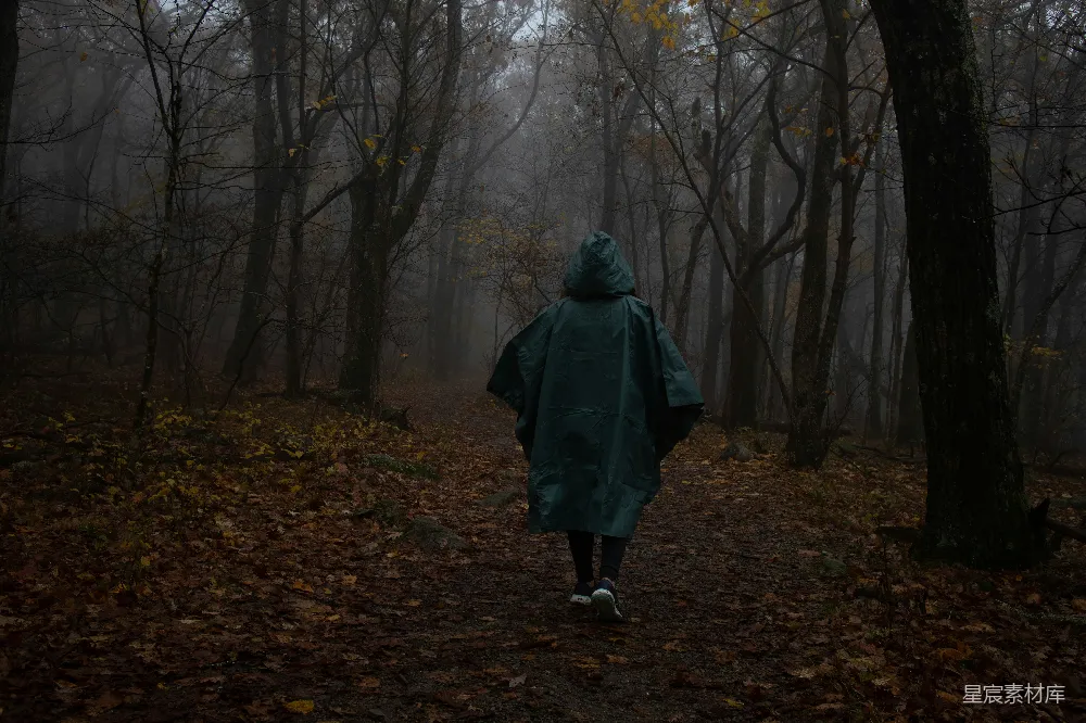 高清摄影 穿着雨衣的人走在森林里