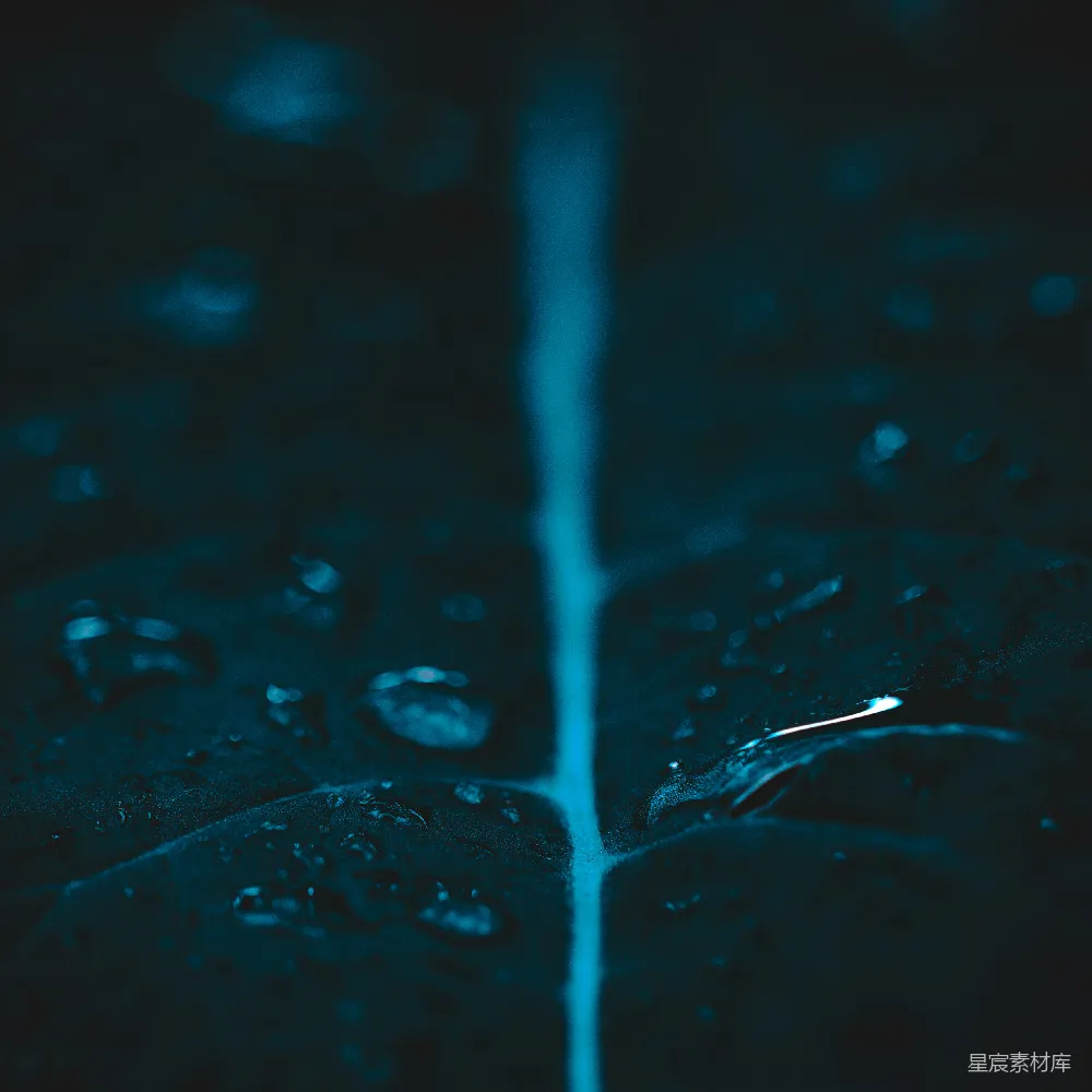 高清摄影 水滴的特写镜头
