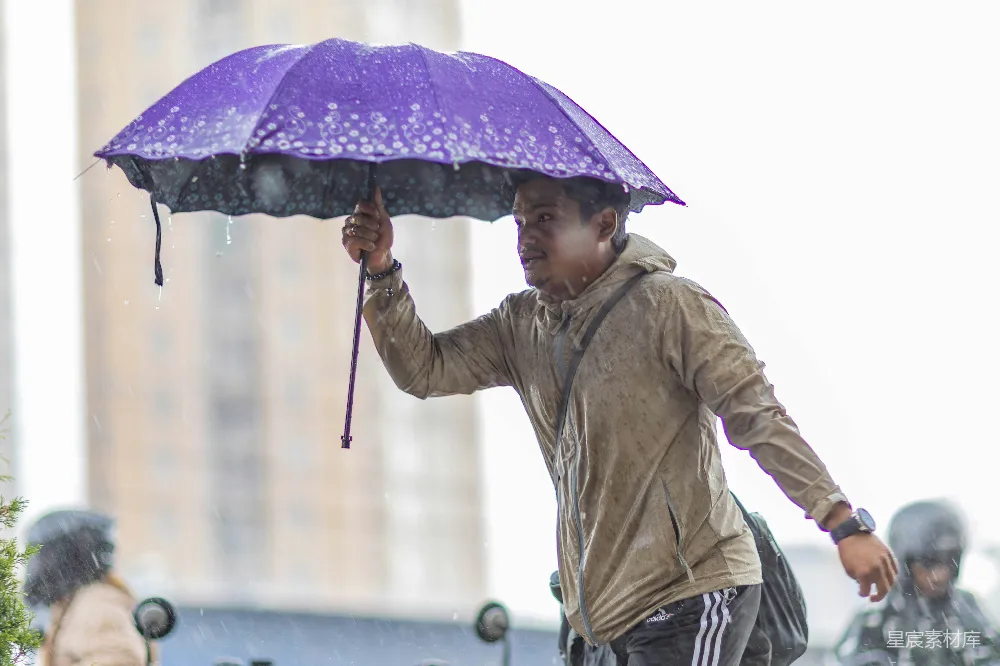 高清摄影 雨中撑着紫色伞的人。