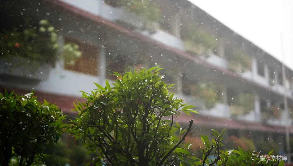 高清摄影 雨落在一座有绿色植物的建筑物前。