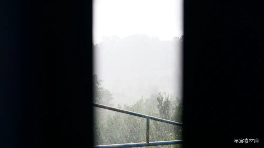 高清摄影 一扇窗户对着一片森林的景色