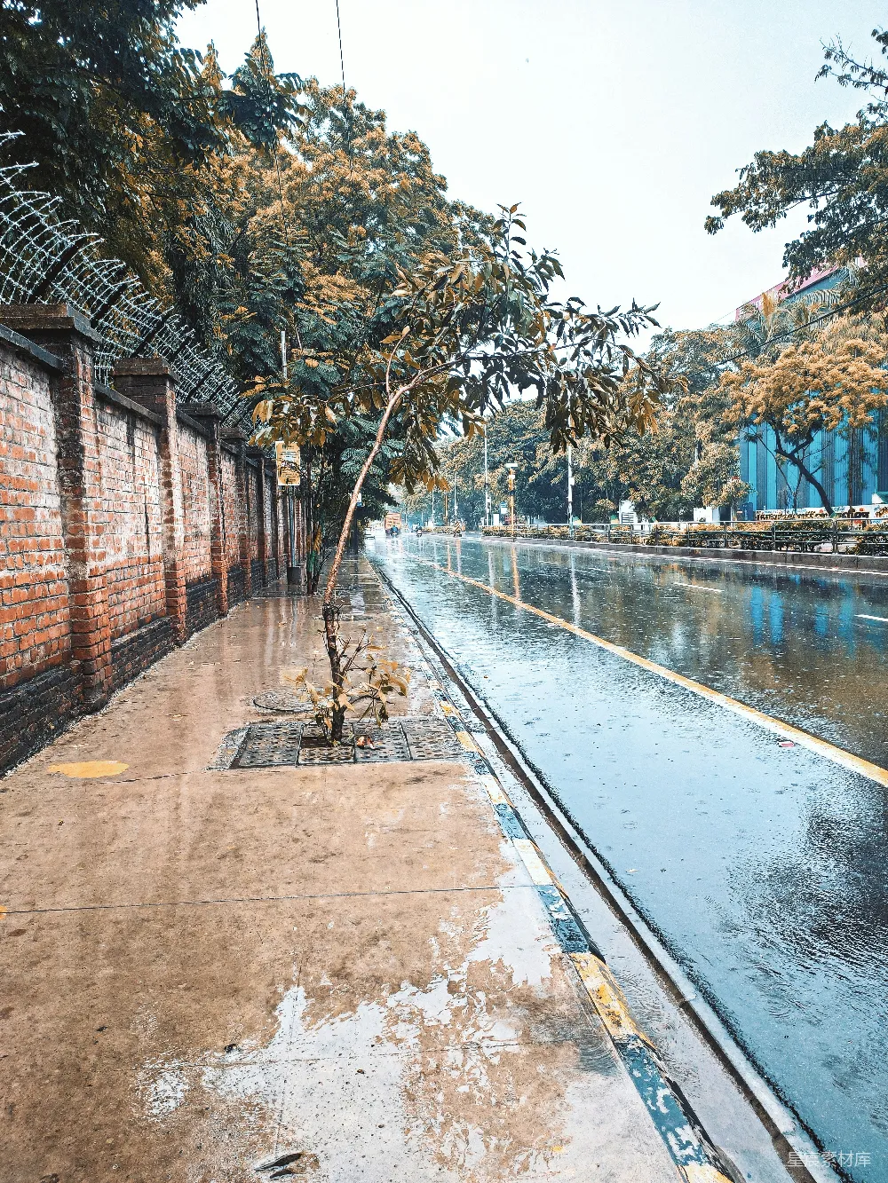 高清摄影 一条边缘积水的人行道