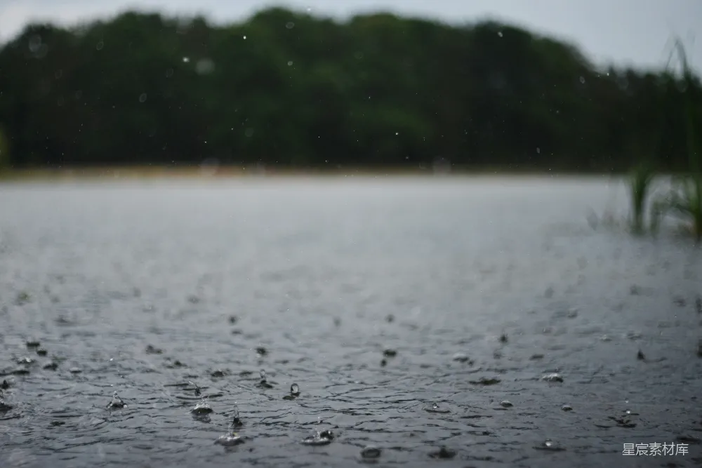 高清摄影 一地溅起的雨滴